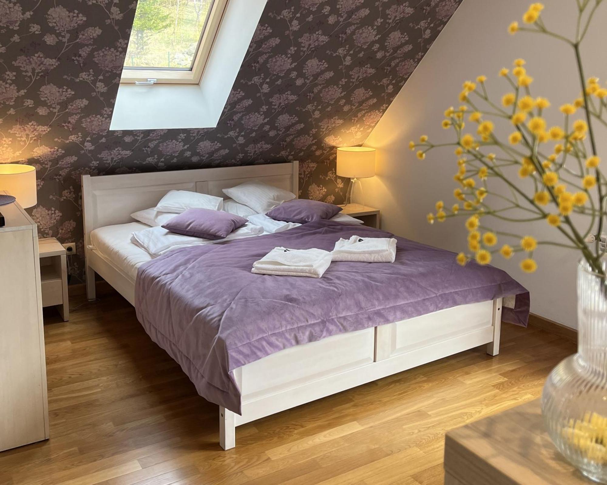 Apartamety I Pokoje Goscinne Na Jaskolczej Świeradów-Zdrój Esterno foto